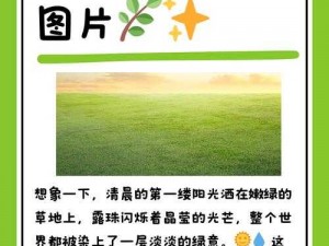 绿色光芒，环保新材料，的生活带来健康与安心