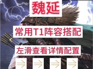 放开那国3平民魏国武将阵容攻略：策略搭配与实战指南