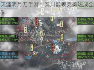 《天涯明月刀手游：秦川鹤唳完美达成全攻略》