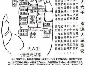 大掌门掌门口诀进阶指南：升级攻略详解与秘籍分享