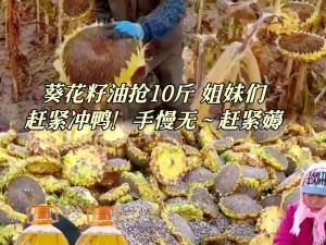 优质农产品，尽在农夫庄园的儿女们