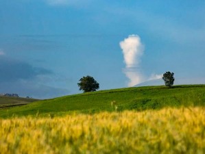 大地资源 10 在线观看免费高清，拒绝改写，尽享流畅视觉体验