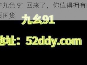 国产九色 91 回来了，你值得拥有的高品质国货