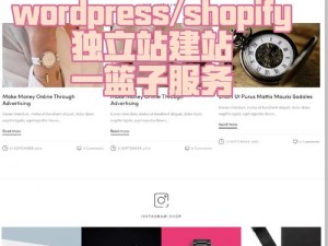 又更又租俄罗斯 SHOPIFY 独立站，提供专业的建站服务