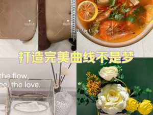 独家秘诀揭晓：洋果子店Rose特制燕麦优格甜品953制作指南