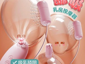 爆乳巨臀貂蝉榨精器 h 文——女性情趣用品，让你体验极致快感