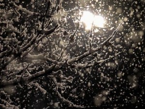 飘雪视频免费观看——高清流畅，精彩无限