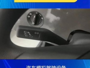 汽车机械师模拟器2021中文设置教程详解：机械师工具操作指南与语言切换配置攻略