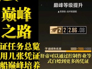 第银河31级后的极速升级攻略：探索未知星际，跃升巅峰等级