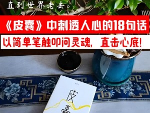 以剧透型解说是为引领的深度探索之旅：逐层揭示背后的故事