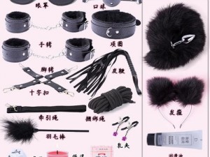 我的肉奴玩具 1-17：高品质情趣用品，满足你的私密需求