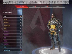 《Apex英雄》初始邮箱识别指南：邮箱状态查看方法与技巧解析