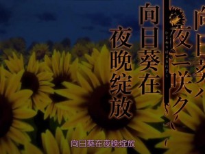 OVA 向日葵在夜晚绽放歌曲简介高品质无损音乐