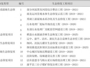 文明6大维齐尔使用指南：总督大维齐尔功能详解与实践策略全解析