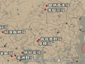 荒野大镖客2骑手挑战攻略8：驯马师高难度任务解析及应对指南