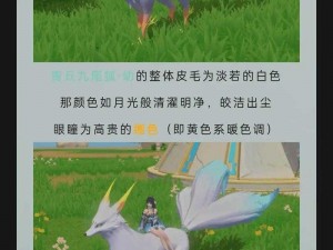 创造与魔法黑蚀龙转盘全新套系价格揭秘：豪华转盘价值几何？