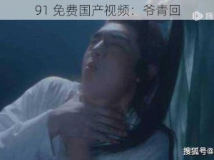 91 免费国产视频：爷青回