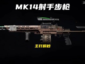 暗区突围MK14深度解析：性能、优势与实战应用