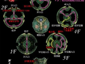 《穿越战国之时空赏花宝典：星秘籍攻略关卡卡牌全览》