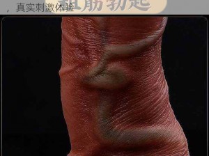 壮熊 Gay 免费高清视频：高品质硅胶仿真阳具，真实刺激体验