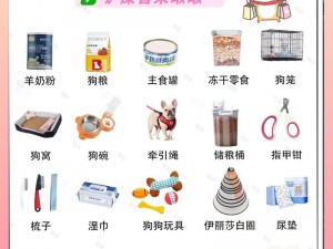 女狗任务表：宠物用品购物清单