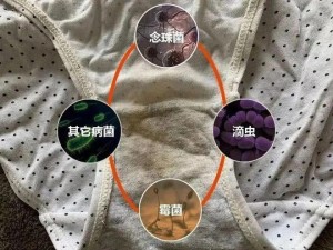 蜜桃 91 精品秘入口内裤包裹：热门话题引发关注