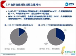 2047丰收蜂卡组深度解析：策略、优势与实战运用全面探讨