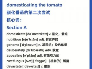 新手入门指南：金币与灵魂石在《以下把剑》中的核心作用详解