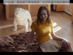 男女一边摸一揉很爽下面电视剧：让你欲罢不能的精彩剧集