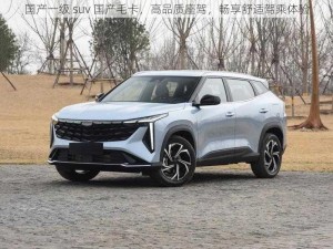 国产一级 suv 国产毛卡，高品质座驾，畅享舒适驾乘体验