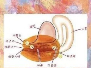 猛流澡：让你在高潮中体验极致享受