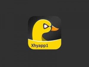 小黄鸭 app 下载，防风险软件安装——保护你的设备安全