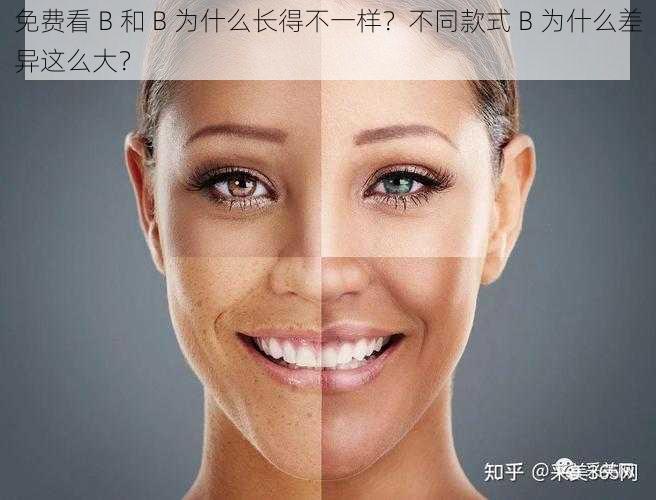 免费看 B 和 B 为什么长得不一样？不同款式 B 为什么差异这么大？