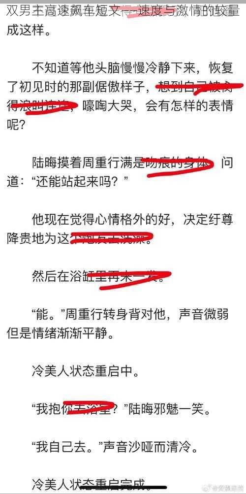 双男主高速飙车短文——速度与激情的较量