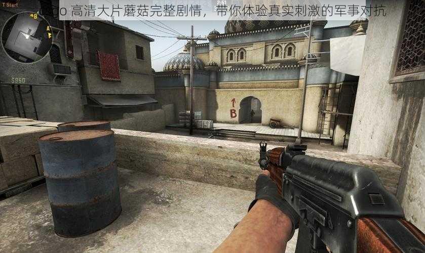 csgo 高清大片蘑菇完整剧情，带你体验真实刺激的军事对抗