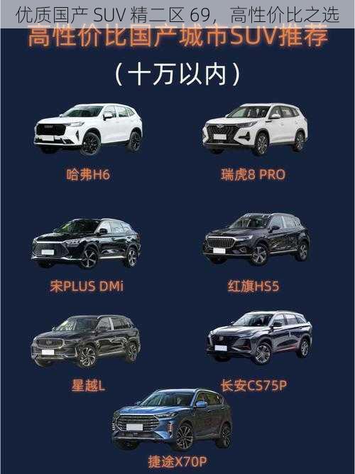 优质国产 SUV 精二区 69，高性价比之选