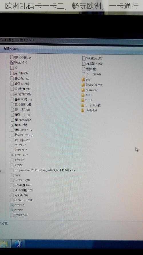 欧洲乱码卡一卡二，畅玩欧洲，一卡通行