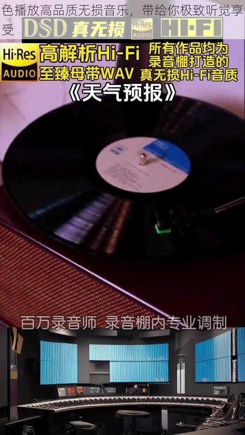 色播放高品质无损音乐，带给你极致听觉享受