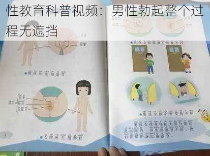 性教育科普视频：男性勃起整个过程无遮挡