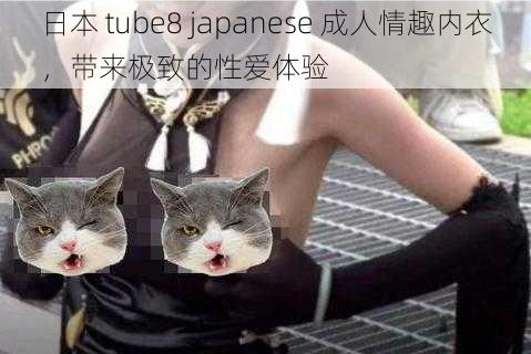 日本 tube8 japanese 成人情趣内衣，带来极致的性爱体验