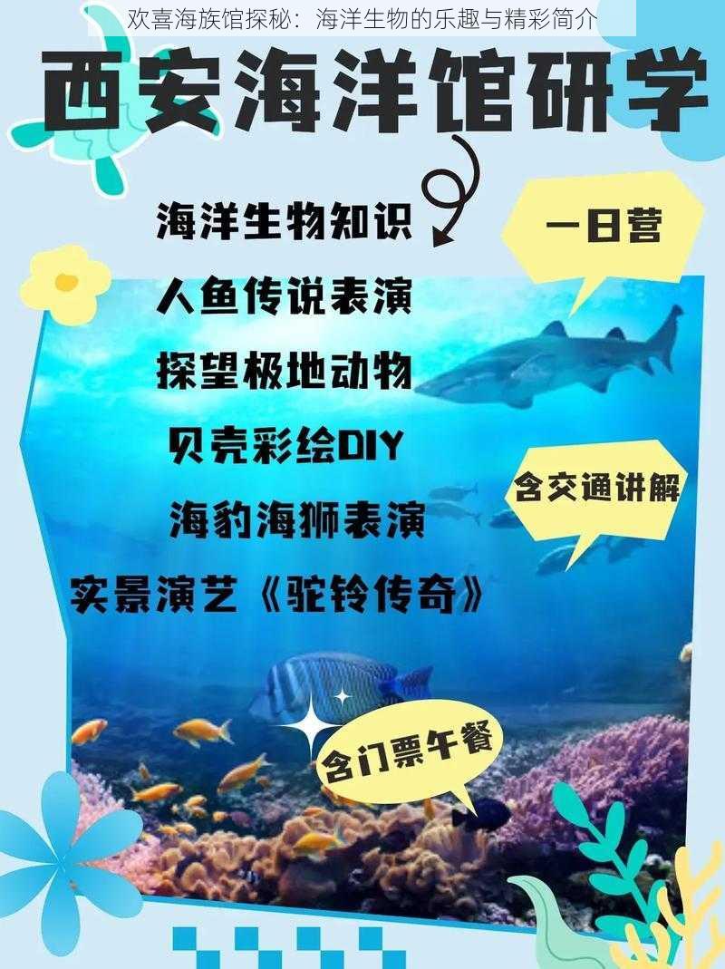 欢喜海族馆探秘：海洋生物的乐趣与精彩简介