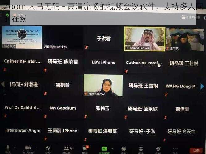 Zoom 人马无码 - 高清流畅的视频会议软件，支持多人同时在线