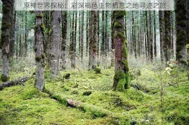 原神世界探秘：彩深褐色生物栖息之地寻迹之旅