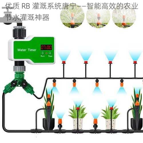 优质 RB 灌溉系统唐宁——智能高效的农业节水灌溉神器