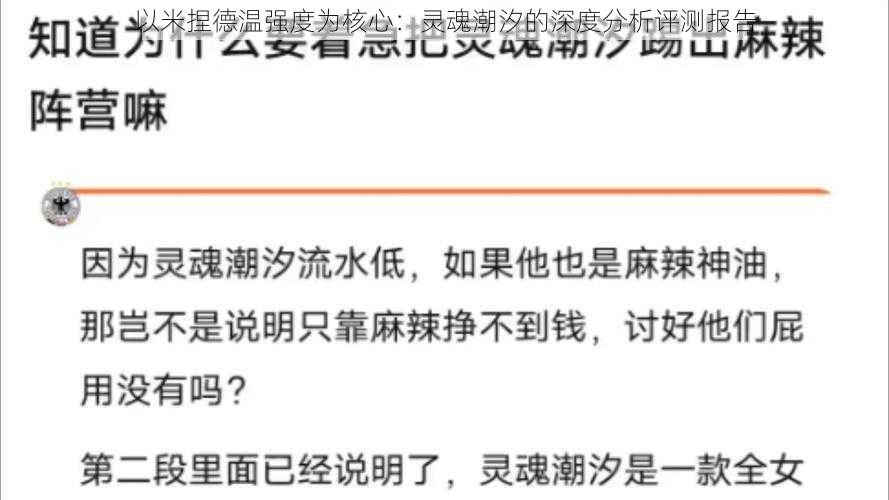 以米捏德温强度为核心：灵魂潮汐的深度分析评测报告