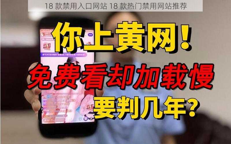 18 款禁用入口网站 18 款热门禁用网站推荐