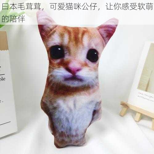 曰本毛茸茸，可爱猫咪公仔，让你感受软萌的陪伴