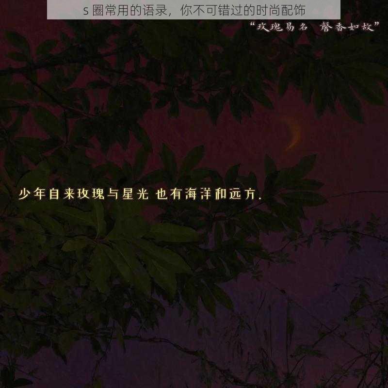 s 圈常用的语录，你不可错过的时尚配饰