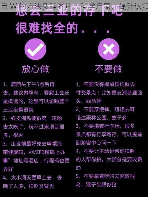 自 W 的方法教程图片，科学启蒙，提升认知