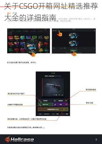 关于CSGO开箱网址精选推荐大全的详细指南